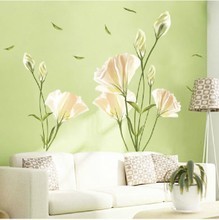 【百合花墙贴大】最新最全产品参考信息与选购指南